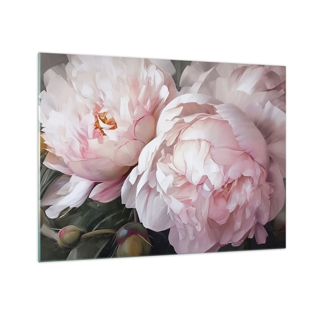 Üveg kép - Finom pünkösdi rózsák világos rózsaszín árnyalatban közelről - 70x50cm - Virágba borulva - Modern fali dekoráció nappalihoz és hálószobához ARTTOR
