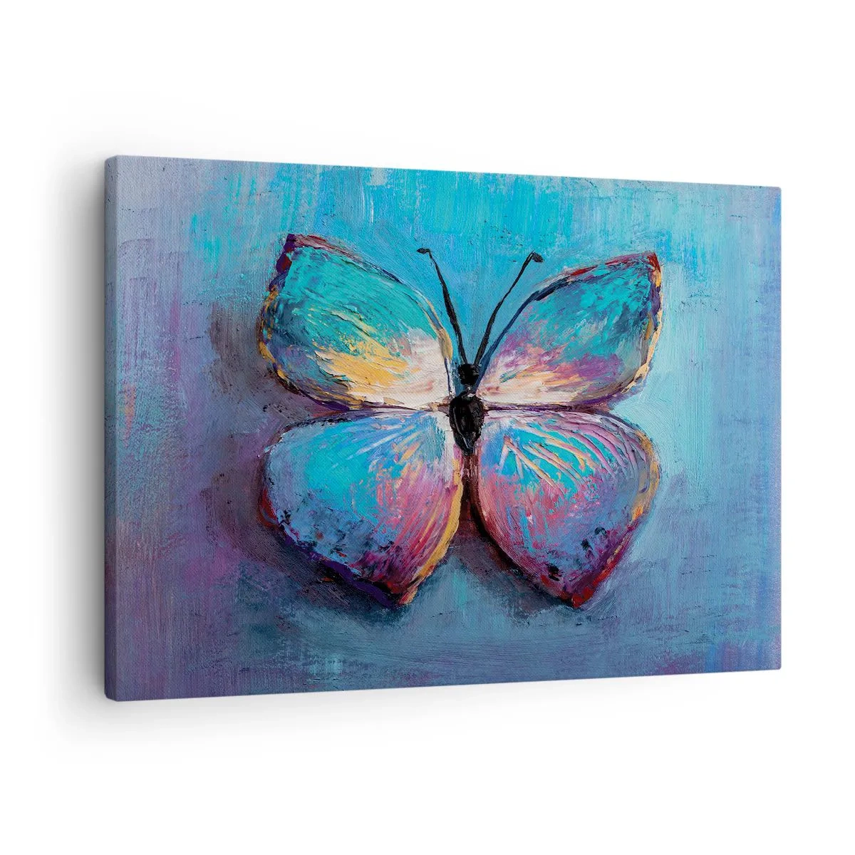 Vászonkép - Színes pillangó kék háttérrel - 70x50cm - Teljes pompájában - Modern fali dekoráció nappalihoz és hálószobához ARTTOR