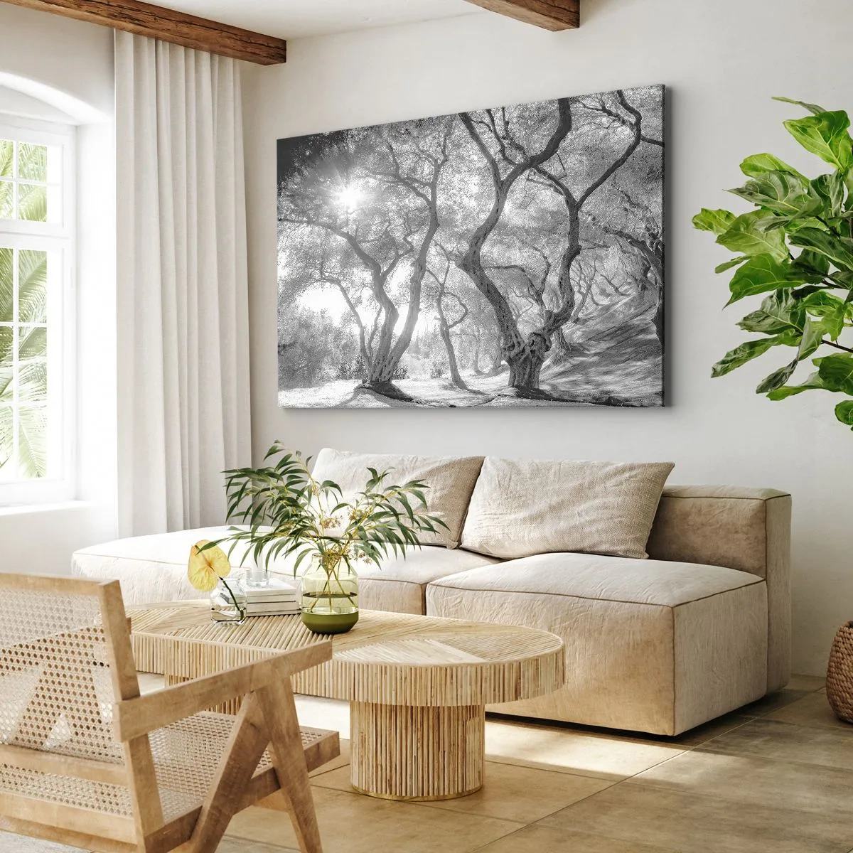 Vászonkép - Fekete-fehér kép a fákról egy olajfaligetben napsugarakkal - 70x50cm - Egy olajfaligetben - Modern fali dekoráció nappalihoz és hálószobához ARTTOR