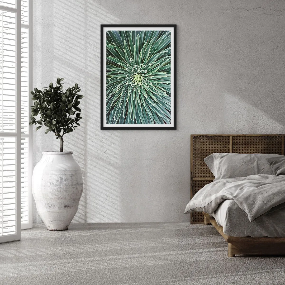 Poszter fehér keretben - Egy szimmetrikus levelekkel rendelkező zöld növény közeli képe. - 50x70cm - Csillag születik - Modern fali dekoráció nappalihoz és hálószobához ARTTOR