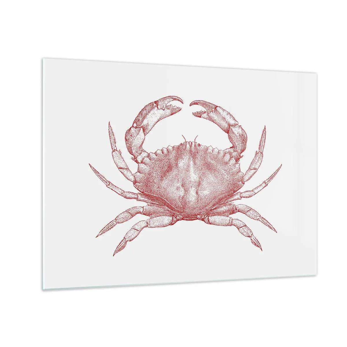 Üveg kép - Vázlat egy vörös rákról világos háttéren retro stílusban - 70x50cm - Rák a rákok felett - Modern fali dekoráció nappalihoz és hálószobához ARTTOR