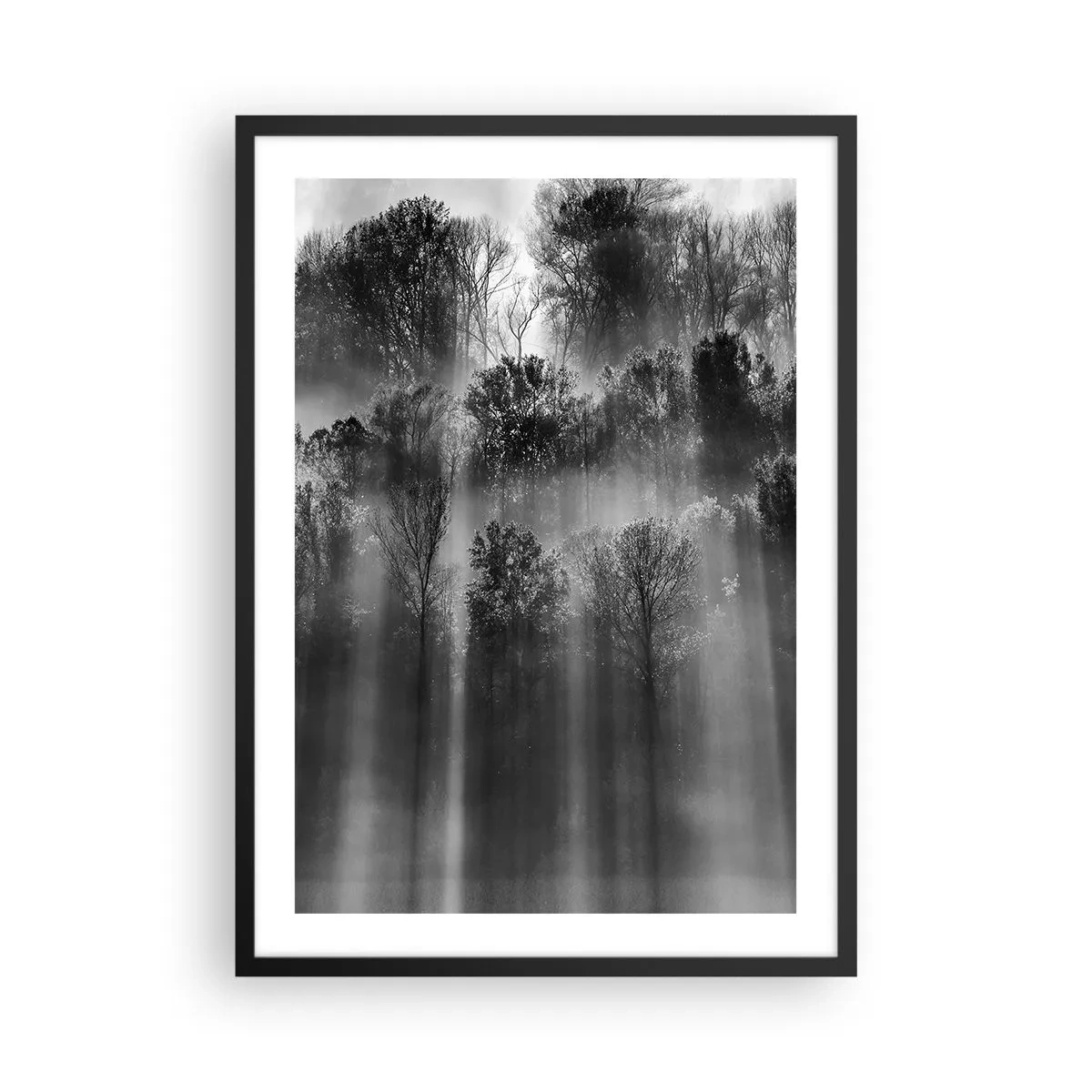 Poszter fehér keretben - Fekete-fehér erdő a ködben, napsugarakkal - 50x70cm - Fénypatakokban - Modern fali dekoráció nappalihoz és hálószobához ARTTOR