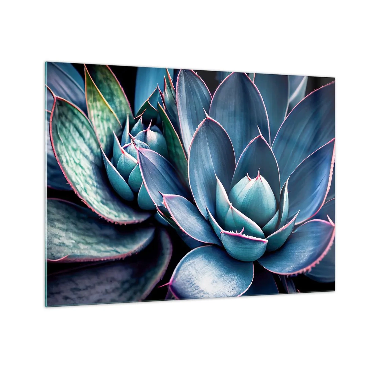 Üveg kép - A pozsgások buja zöld leveleinek közeli képe - 70x50cm - Életerő - Modern fali dekoráció nappalihoz és hálószobához ARTTOR