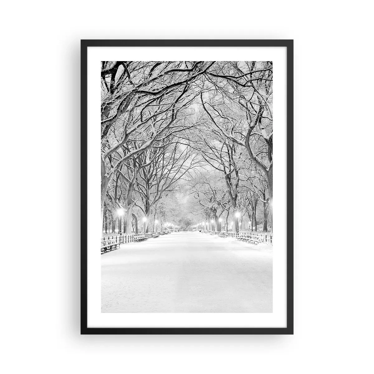 Poszter fehér keretben - Hóval borított téli fasor a parkban - 50x70cm - A négy évszak - tél - Modern fali dekoráció nappalihoz és hálószobához ARTTOR