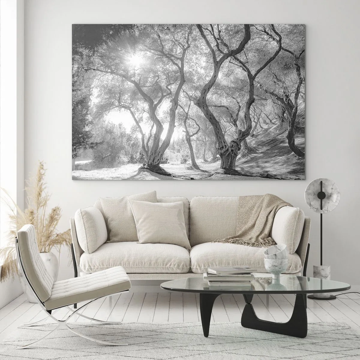Üveg kép - Fekete-fehér olajfák napfényben - 70x50cm - Egy olajfaligetben - Modern fali dekoráció nappalihoz és hálószobához ARTTOR