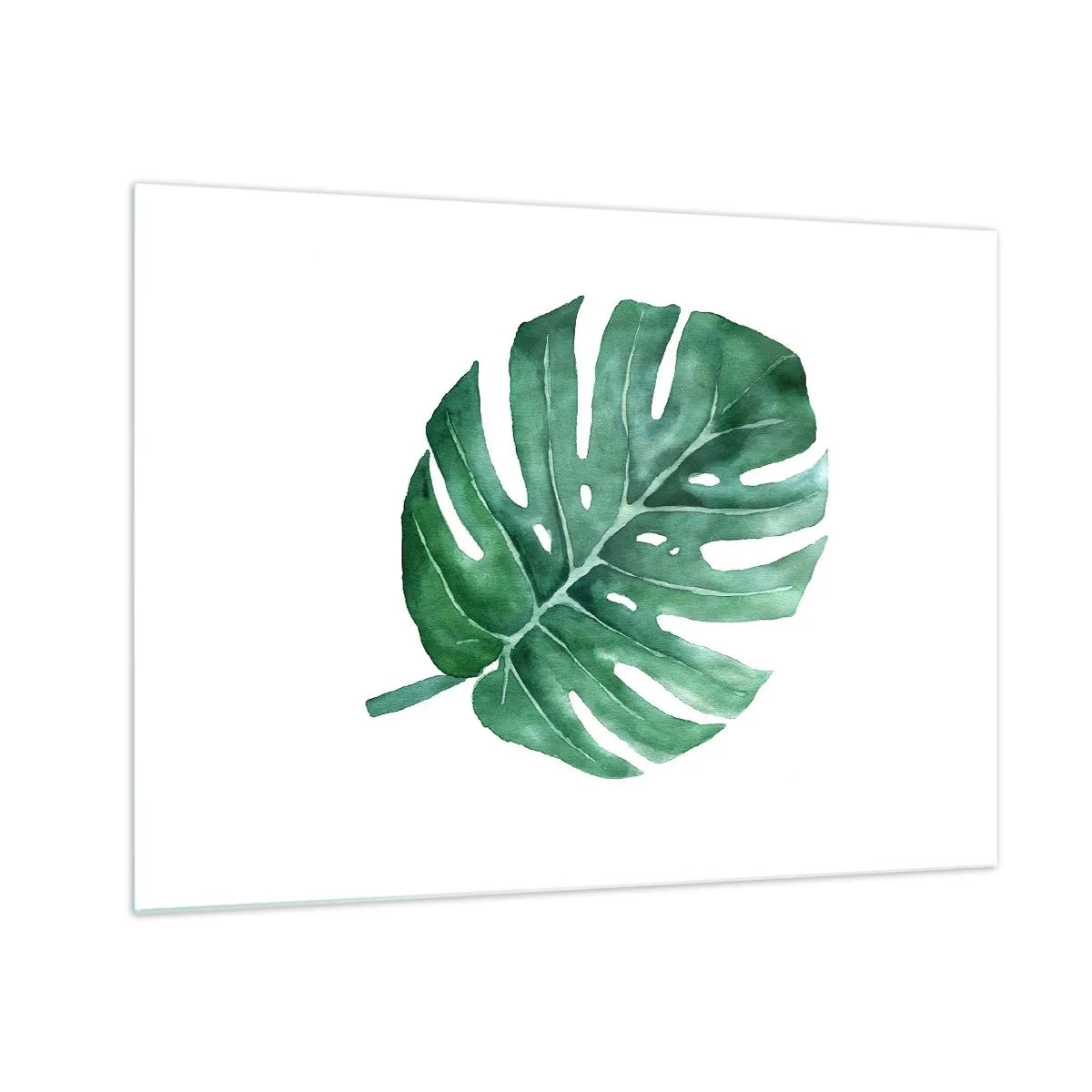 Üveg kép - Zöld monstera levél fehér alapon - 70x50cm - Zöld koncepció - Modern fali dekoráció nappalihoz és hálószobához ARTTOR