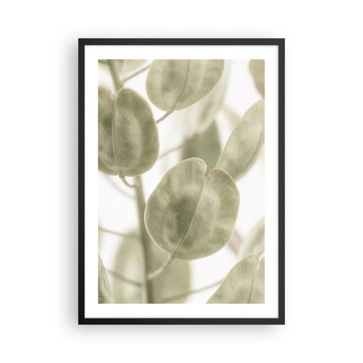 Poszter fehér keretben - Zöld levelek közeli képe természetes fényben - 50x70cm - Kezdetben levelek voltak... - Modern fali dekoráció nappalihoz és hálószobához ARTTOR