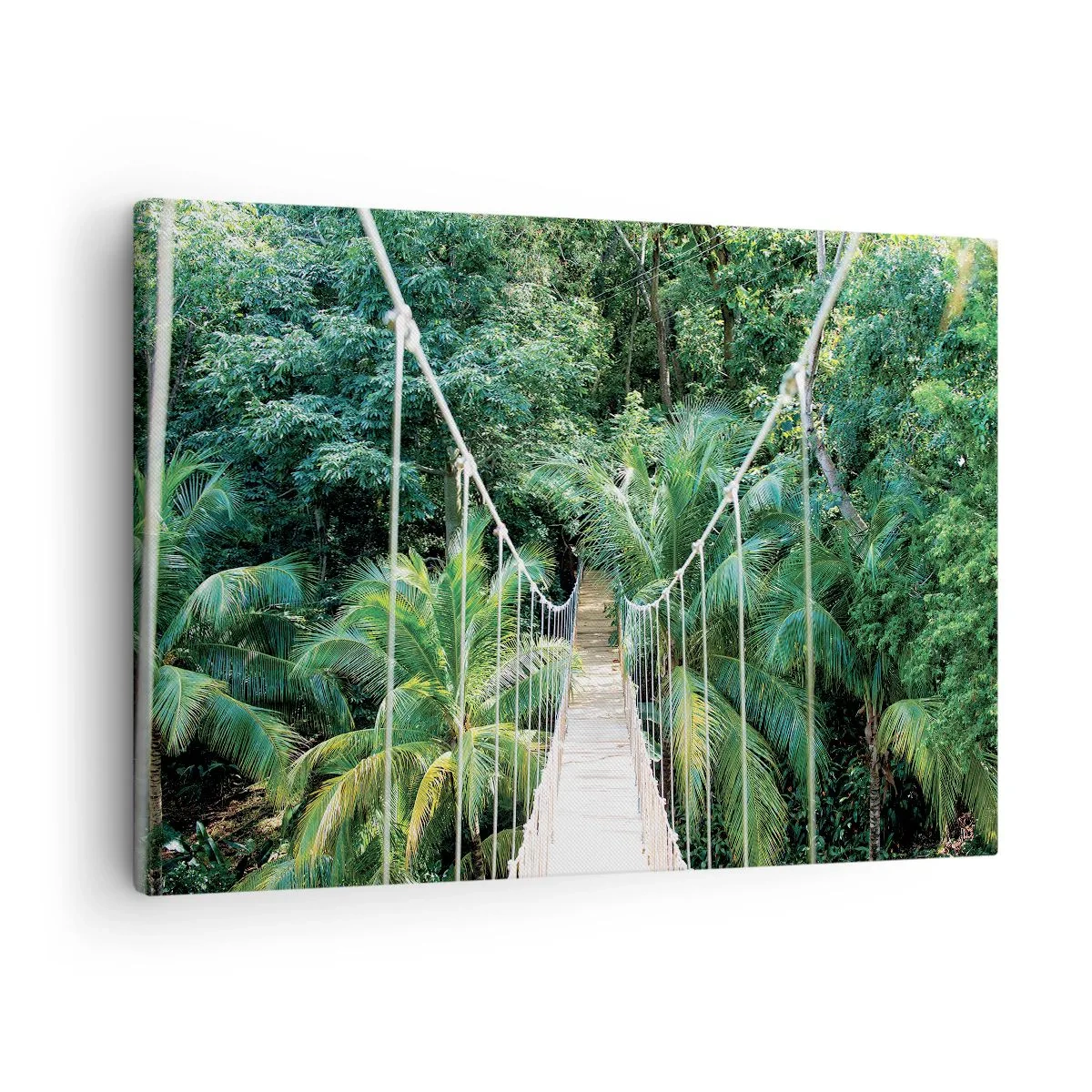 Vászonkép - Egy függőhíd egy zöld növényzettel teli trópusi dzsungelben - 70x50cm - Üdvözöljük a dzsungelben! - Modern fali dekoráció nappalihoz és hálószobához ARTTOR