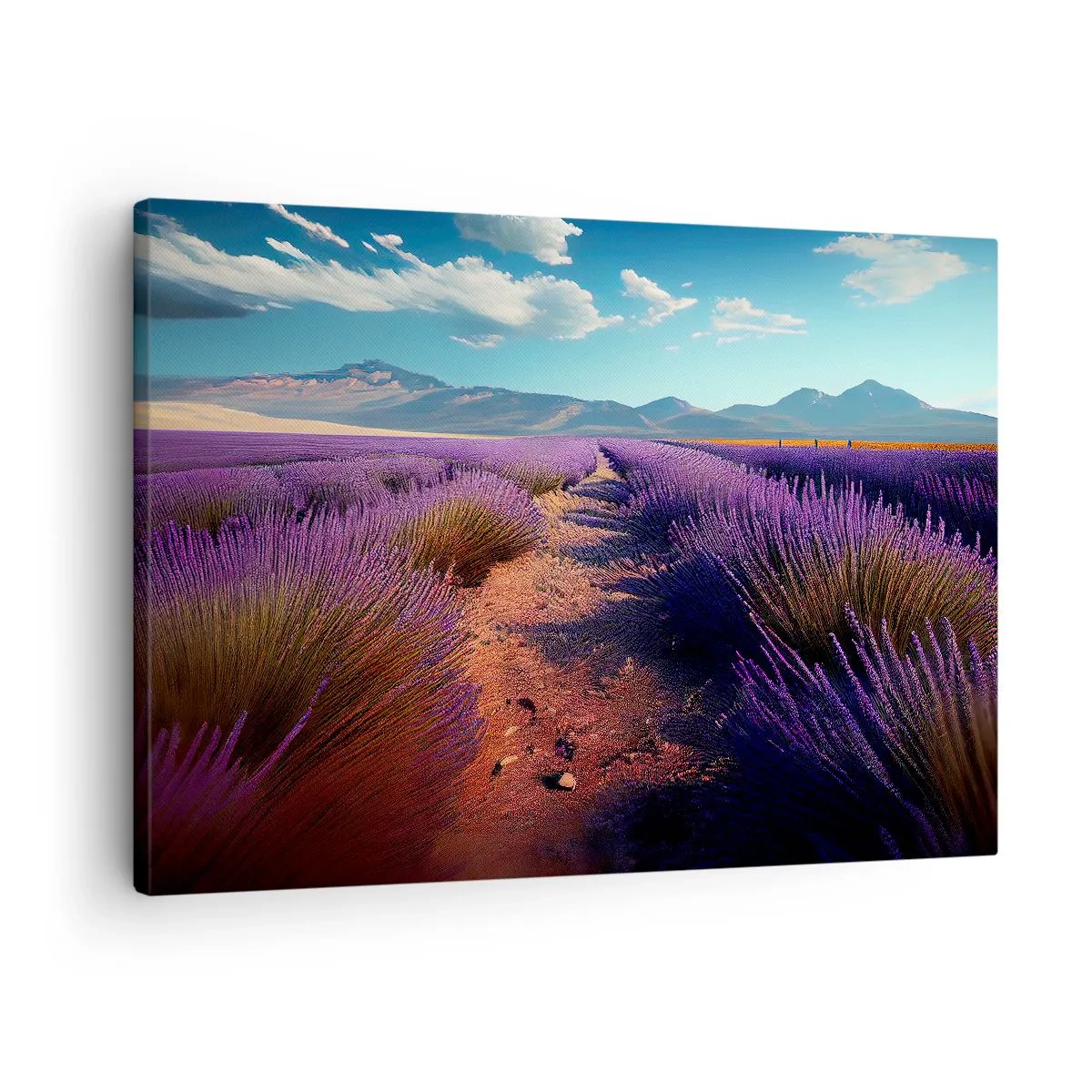 Vászonkép - Levendulaföld, kilátással a hegyekre és a kék égre - 70x50cm - Illatos mezők - Modern fali dekoráció nappalihoz és hálószobához ARTTOR