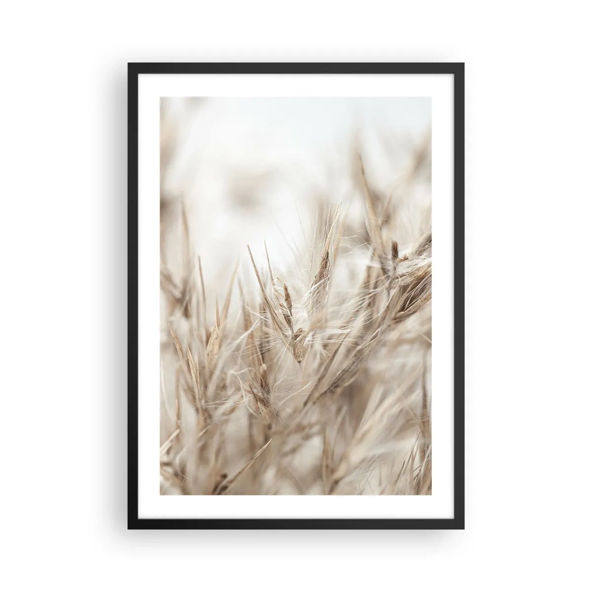 Poszter fehér keretben - Finom fűszálak bézs színben - 50x70cm - Mező és szél - Modern fali dekoráció nappalihoz és hálószobához ARTTOR