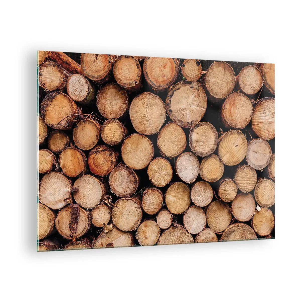 Üveg kép - Függőlegesen elrendezett fatörzsek látható növekedési évgyűrűkkel - 70x50cm - Egy új kezdet - Modern fali dekoráció nappalihoz és hálószobához ARTTOR