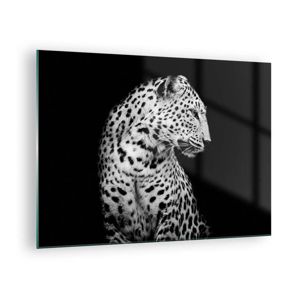 Üveg kép - Egy leopárd fekete-fehér fényben egy ablak előtt - 70x50cm - Tökéletes jobb profil! - Modern fali dekoráció nappalihoz és hálószobához ARTTOR