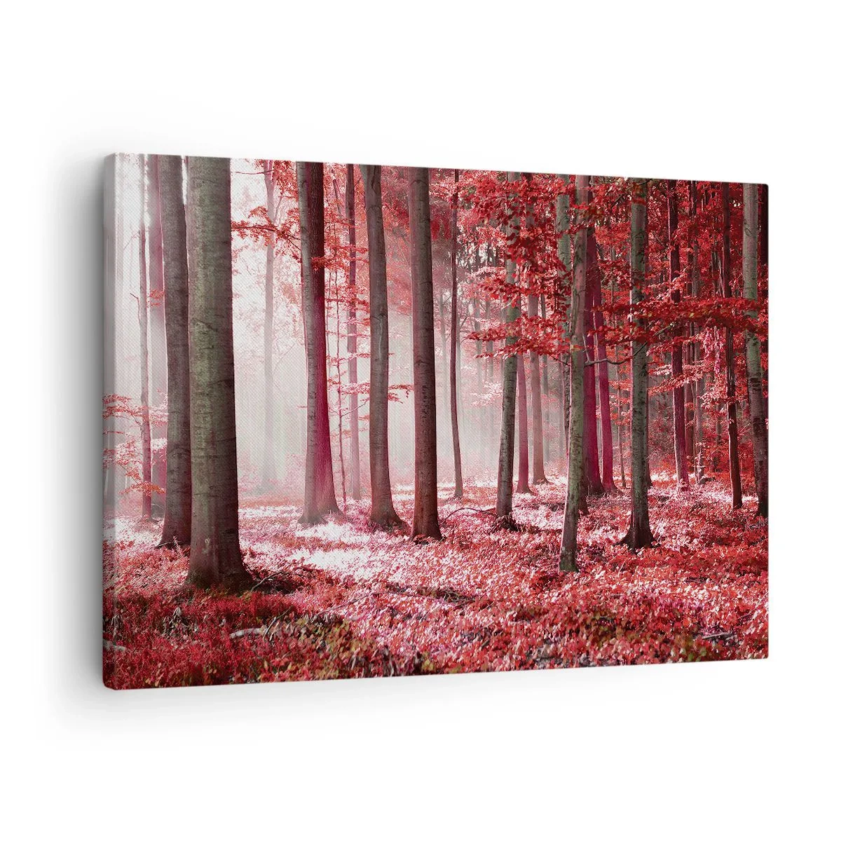 Vászonkép - Egy lenyűgöző erdő vörös árnyalatokban, a fák között átszűrődő fénysugarakkal - 70x50cm - A piros különösen szép - Modern fali dekoráció nappalihoz és hálószobához ARTTOR