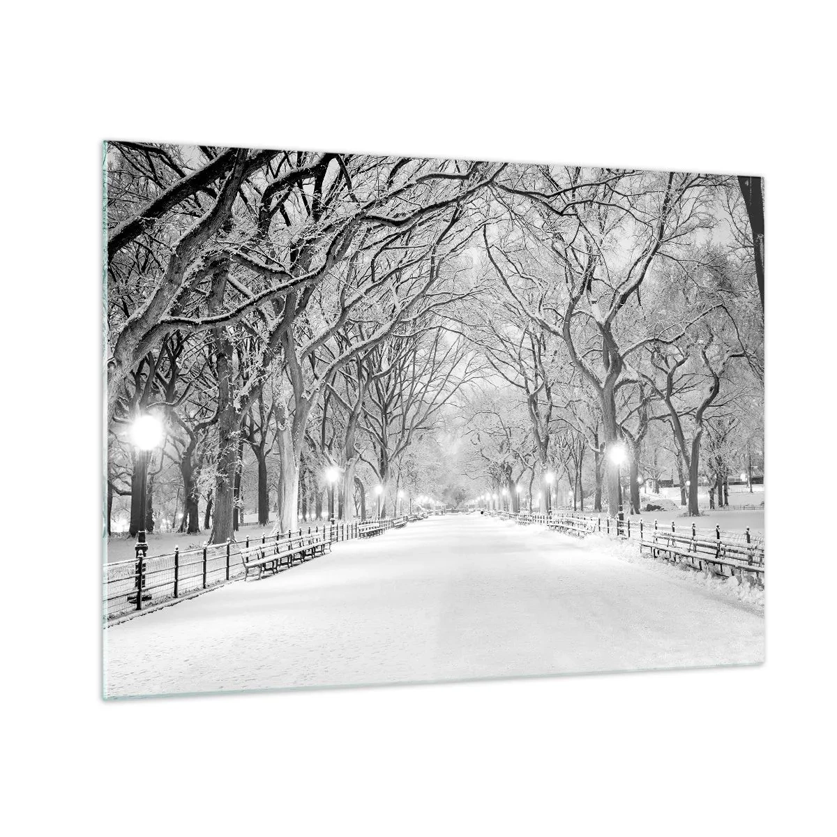Üveg kép - Téli fasor a parkban fényekkel és hóval - 70x50cm - A négy évszak - tél - Modern fali dekoráció nappalihoz és hálószobához ARTTOR
