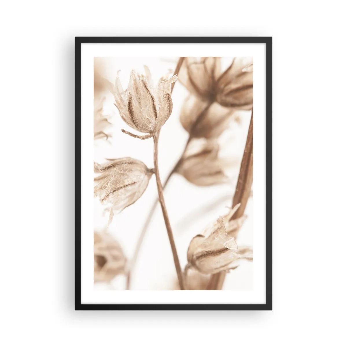 Poszter fehér keretben - Szárított növények szépia színben, világos háttér előtt - 50x70cm - Nyár végén hívnak - Modern fali dekoráció nappalihoz és hálószobához ARTTOR