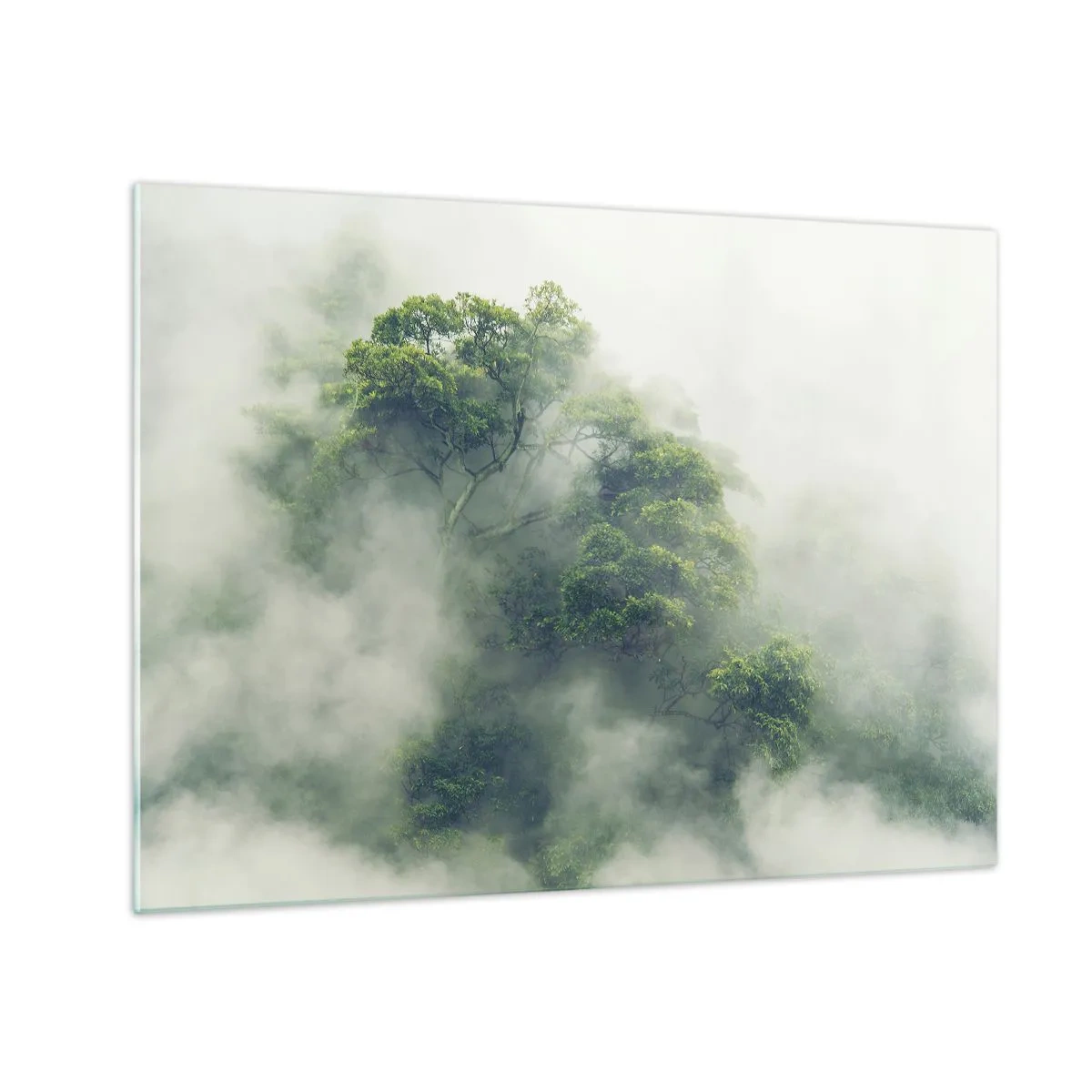 Üveg kép - Trópusi erdőfák bújnak elő a sűrű ködből - 70x50cm - Ködbe burkolózva - Modern fali dekoráció nappalihoz és hálószobához ARTTOR