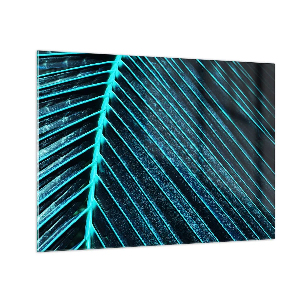 Üveg kép - Makró fotó egy türkiz árnyalatú pálmalevélről - 70x50cm - A zöld textúrája - Modern fali dekoráció nappalihoz és hálószobához ARTTOR