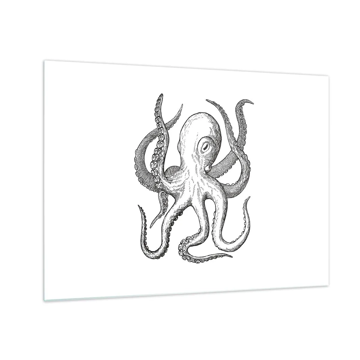Üveg kép - Fekete-fehér rajz egy polipról fehér alapon - 70x50cm - Hullámokkal táncoló - Modern fali dekoráció nappalihoz és hálószobához ARTTOR