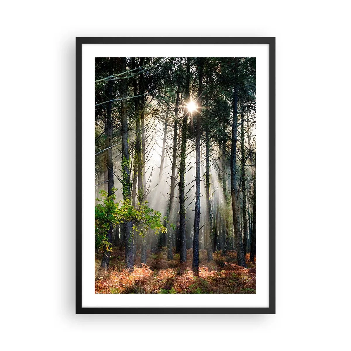 Poszter fehér keretben - Varázslatos napsugarak az erdei tájban - 50x70cm - Az erdő szépsége - Modern fali dekoráció nappalihoz és hálószobához ARTTOR