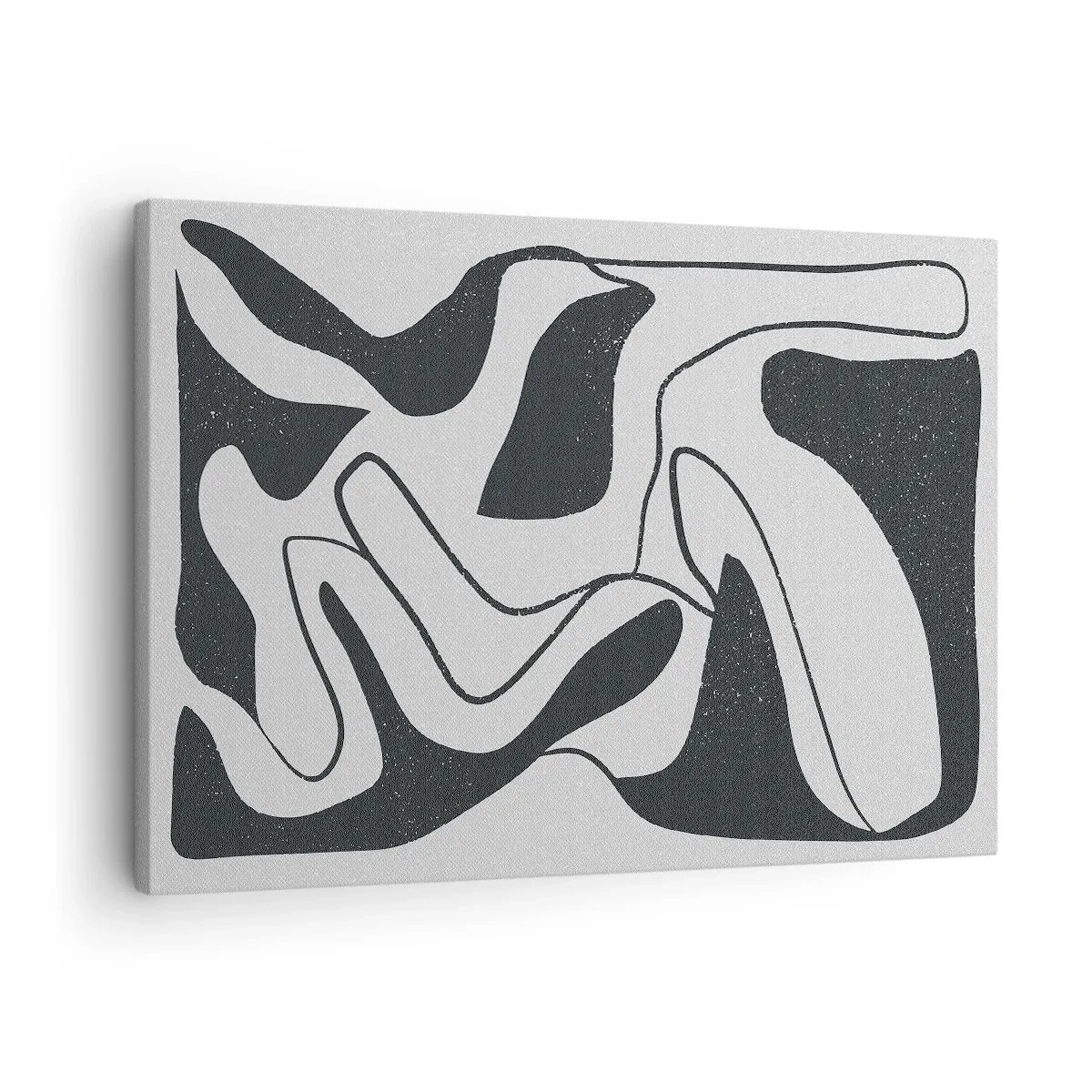 Vászonkép - Fekete-fehér absztrakció organikus formákkal - 70x50cm - Absztrakt játék egy labirintusban - Modern fali dekoráció nappalihoz és hálószobához ARTTOR