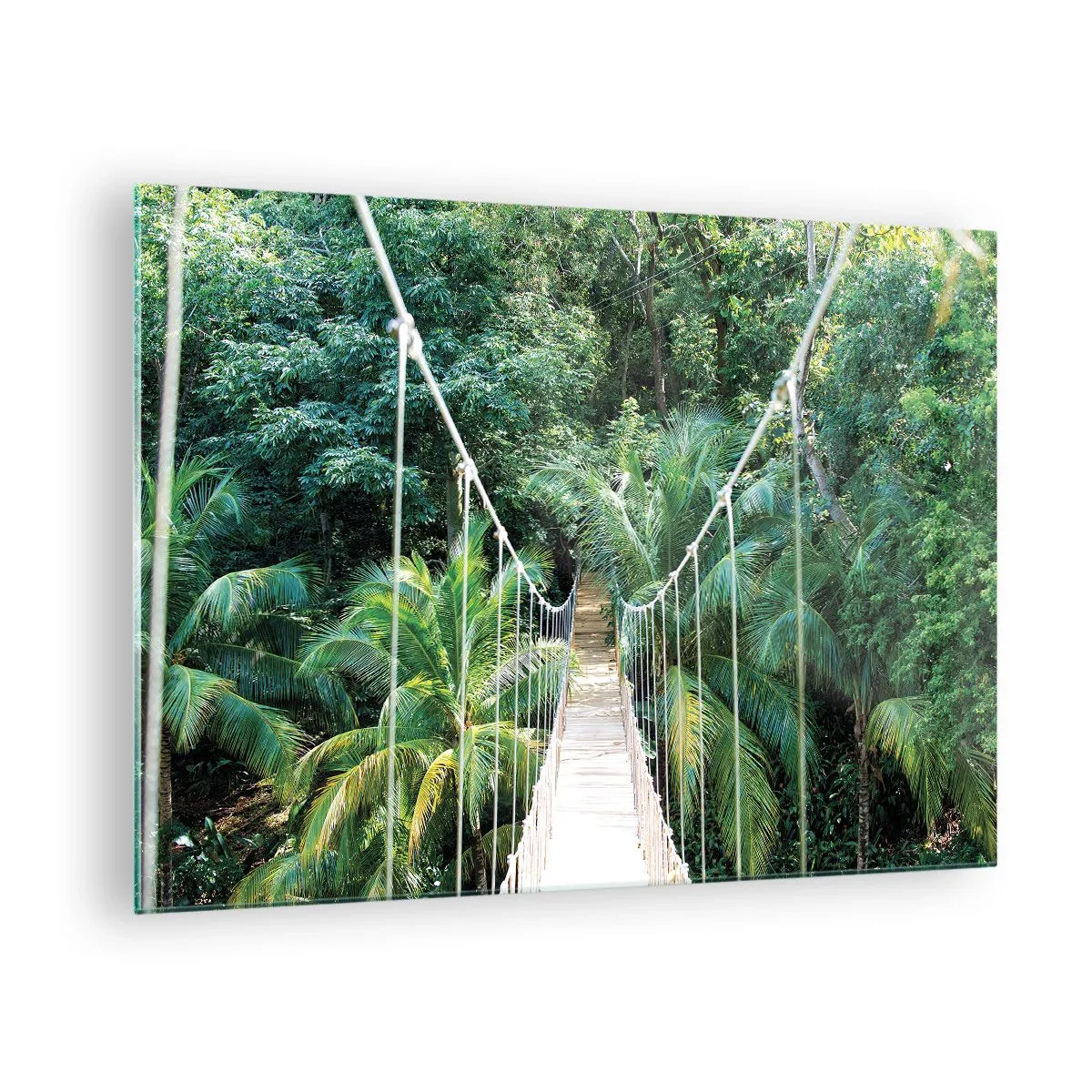 Üveg kép - Függőhíd egy trópusi erdőben - 70x50cm - Üdvözöljük a dzsungelben! - Modern fali dekoráció nappalihoz és hálószobához ARTTOR