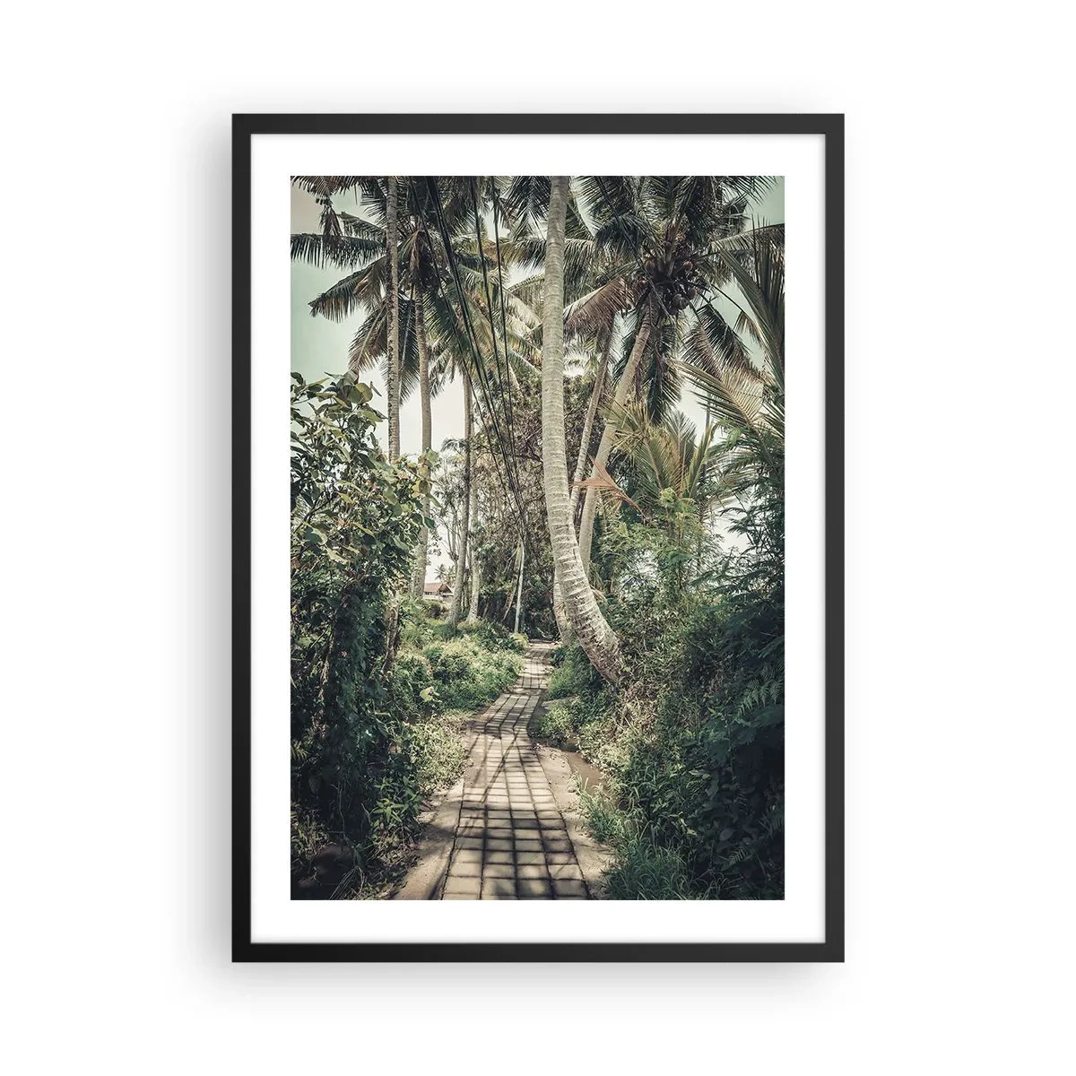 Poszter fehér keretben - Egy egzotikus ösvény pálmafák között egy trópusi tájban - 50x70cm - Pálma sugárút - Modern fali dekoráció nappalihoz és hálószobához ARTTOR