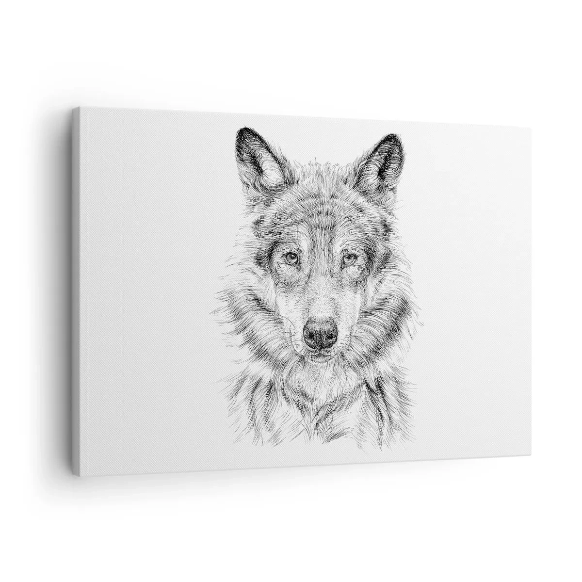 Vászonkép - Farkasfej vázlata fehér alapon fekete-fehér stílusban - 70x50cm - Született vezető - Modern fali dekoráció nappalihoz és hálószobához ARTTOR