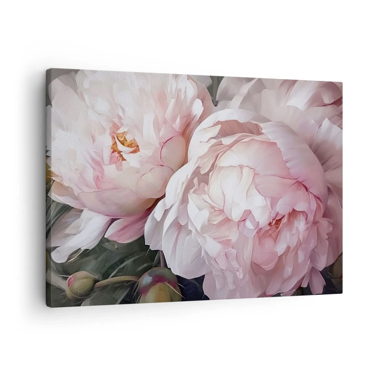 Vászonkép - Finom rózsaszín pünkösdi rózsák teljes virágzásban - 70x50cm - Virágba borulva - Modern fali dekoráció nappalihoz és hálószobához ARTTOR