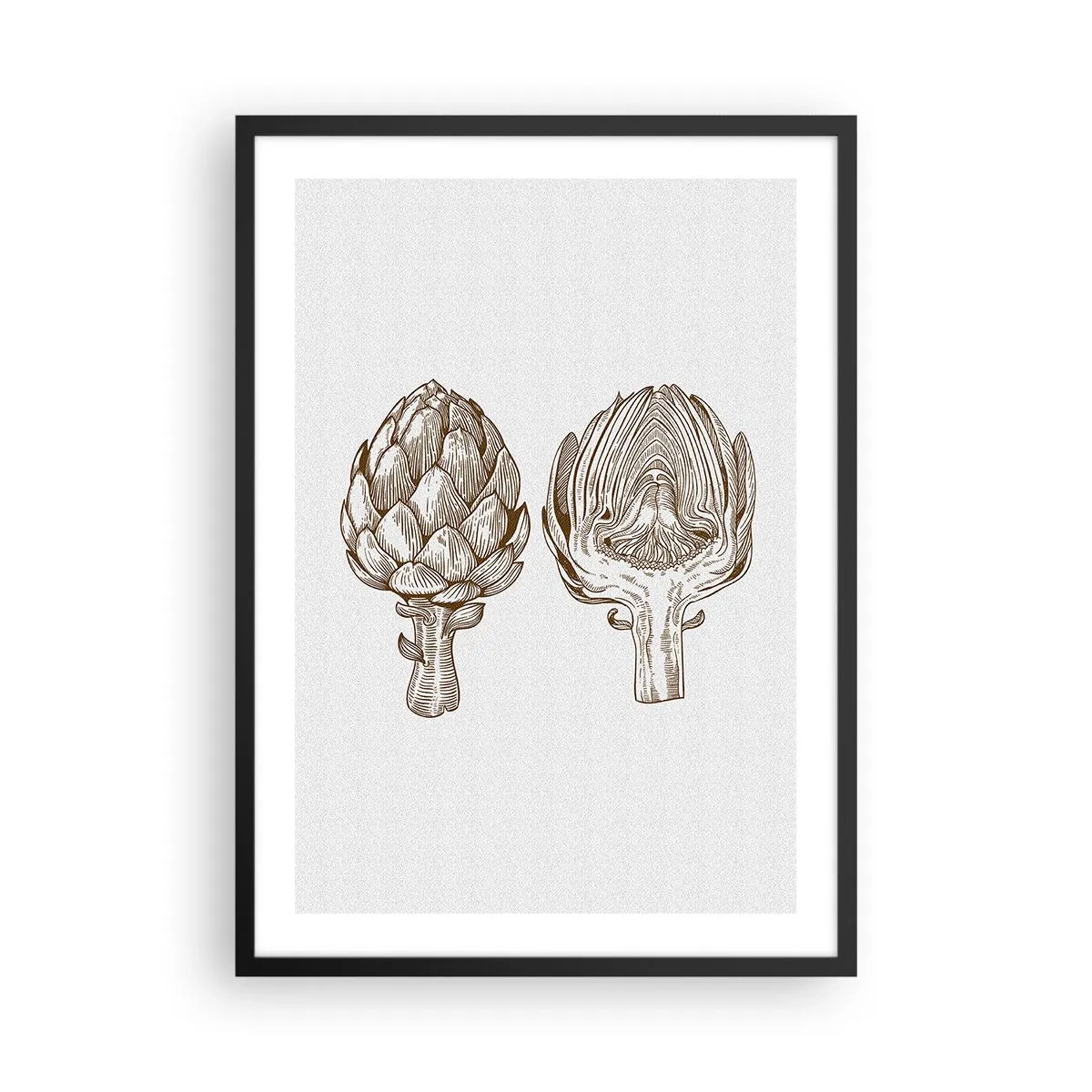Poszter fehér keretben - Két articsóka vintage illusztrációja - 50x70cm - Anatómia lecke - Modern fali dekoráció nappalihoz és hálószobához ARTTOR