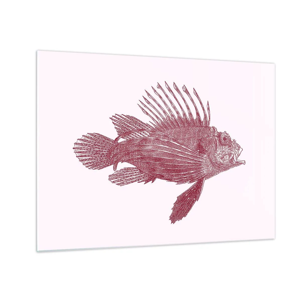 Üveg kép - Vázlat egy egzotikus halról bordó színben, világos háttéren - 70x50cm - Egzotikus vizek lakója - Modern fali dekoráció nappalihoz és hálószobához ARTTOR