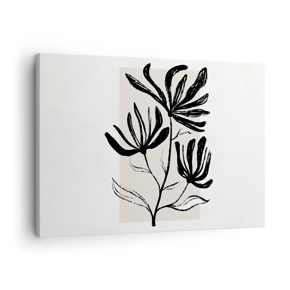 Vászonkép - Minimalista fekete-fehér virágmotívum - 70x50cm - Vázlat egy herbáriumhoz - Modern fali dekoráció nappalihoz és hálószobához ARTTOR