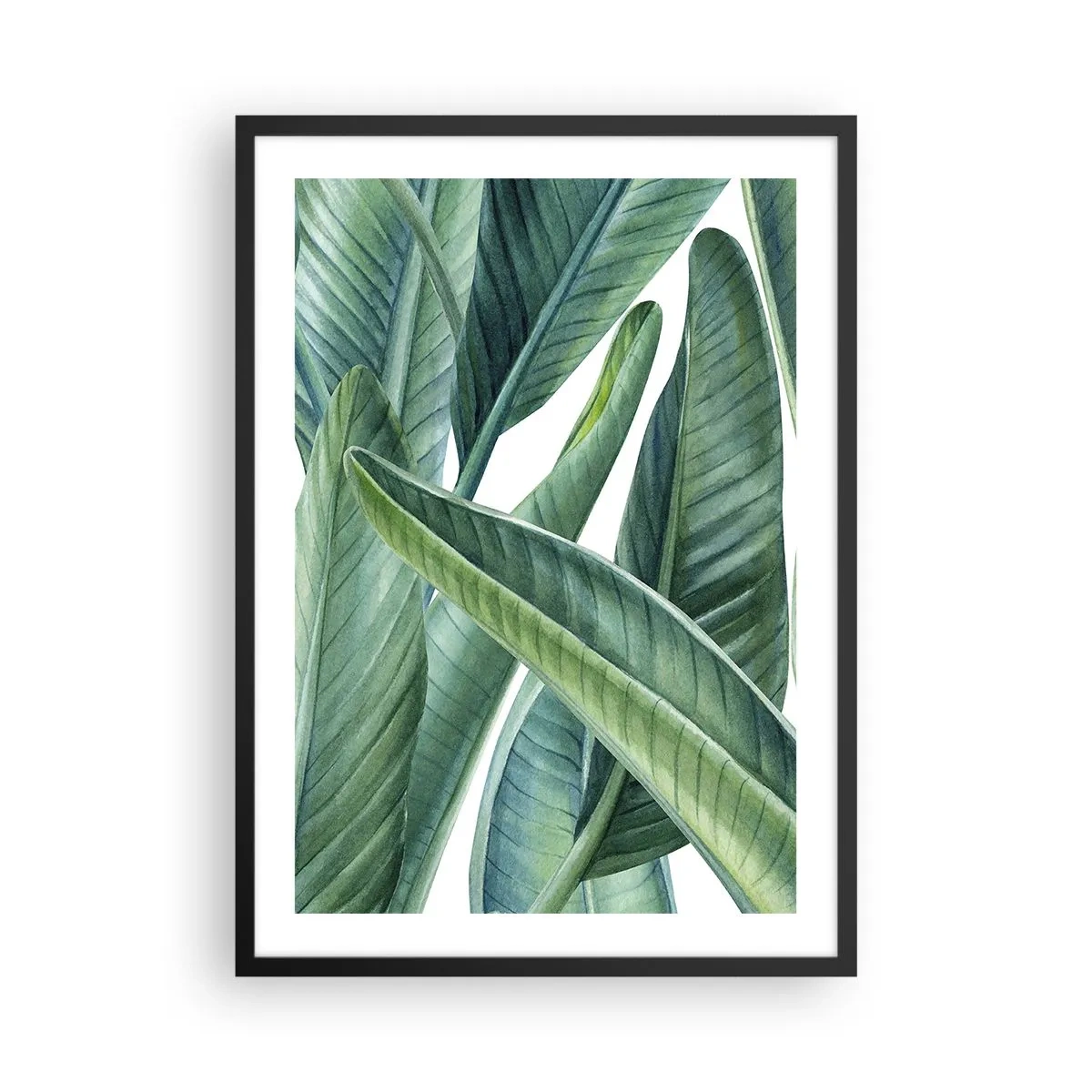Poszter fehér keretben - Zöld banánlevelek akvarell stílusban - 50x70cm - Zöld önmagában - Modern fali dekoráció nappalihoz és hálószobához ARTTOR